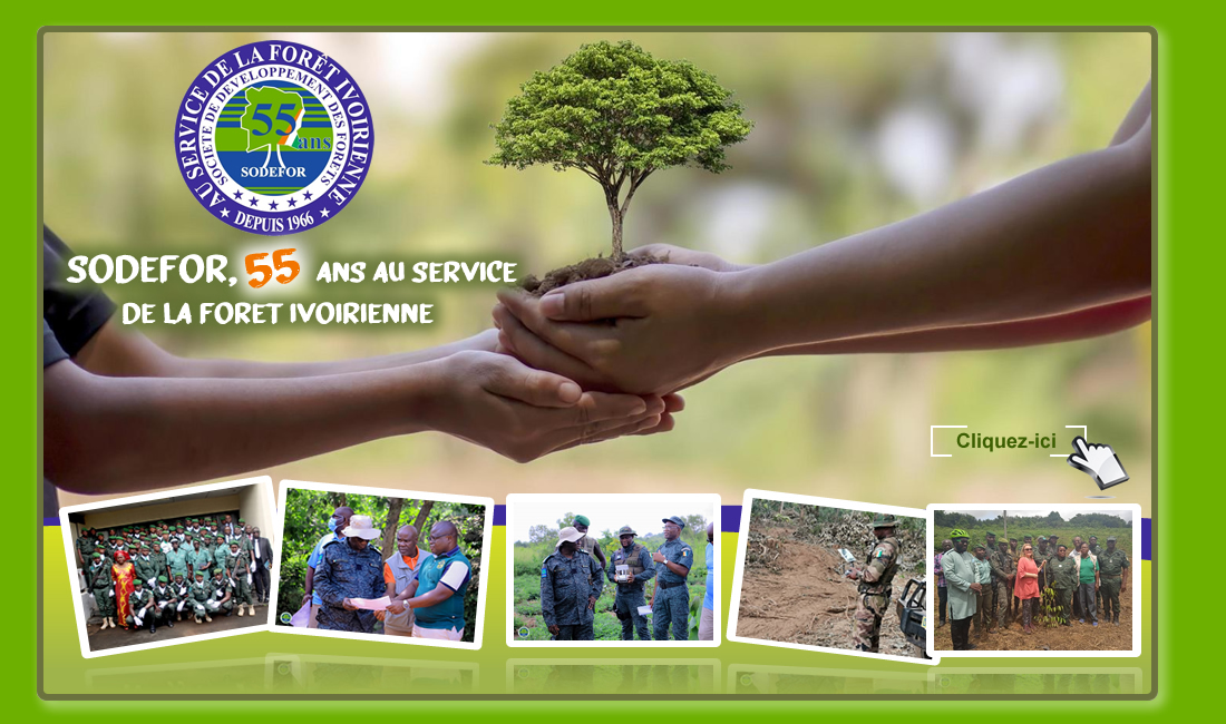 La SODEFOR célèbre 59 ans d’engagement pour la préservation du patrimoine forestier ivoirien